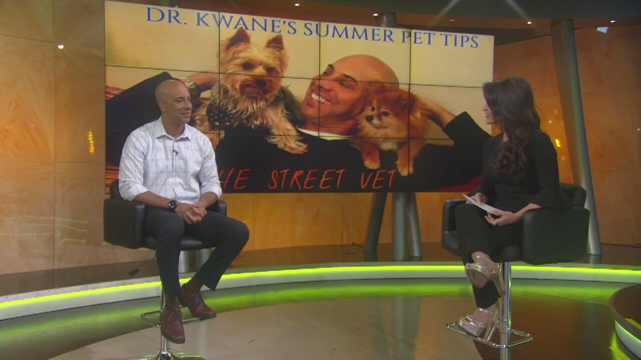 Dr. Kwane Stewart Summer Pet Tips