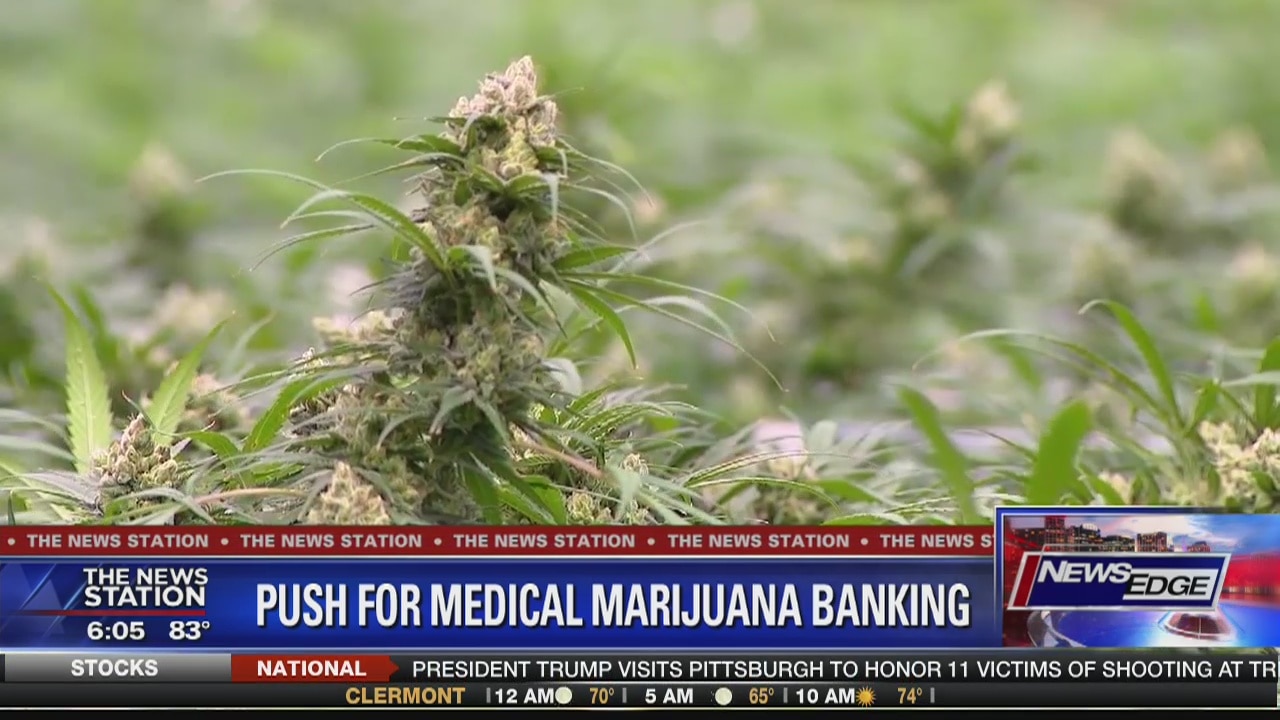 Dems call for state-run bank for medical marijuana