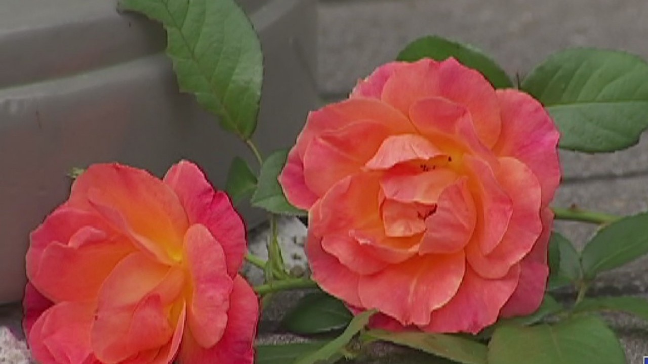 UT campus murder follow up