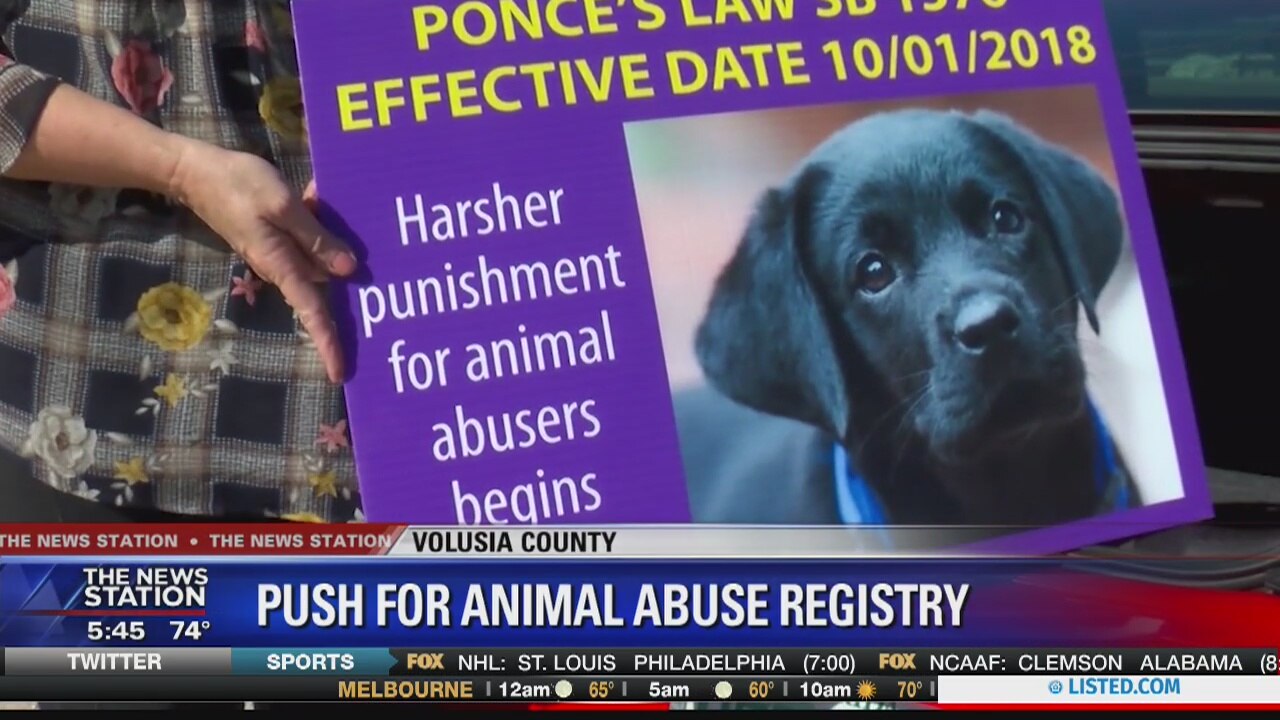 Push for animal abuse registry