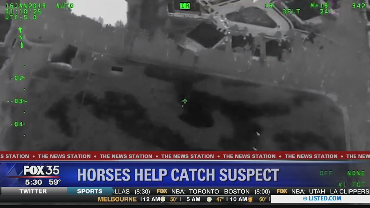 Horses help deputies catch suspect