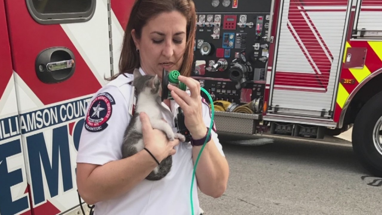 First responders save pets