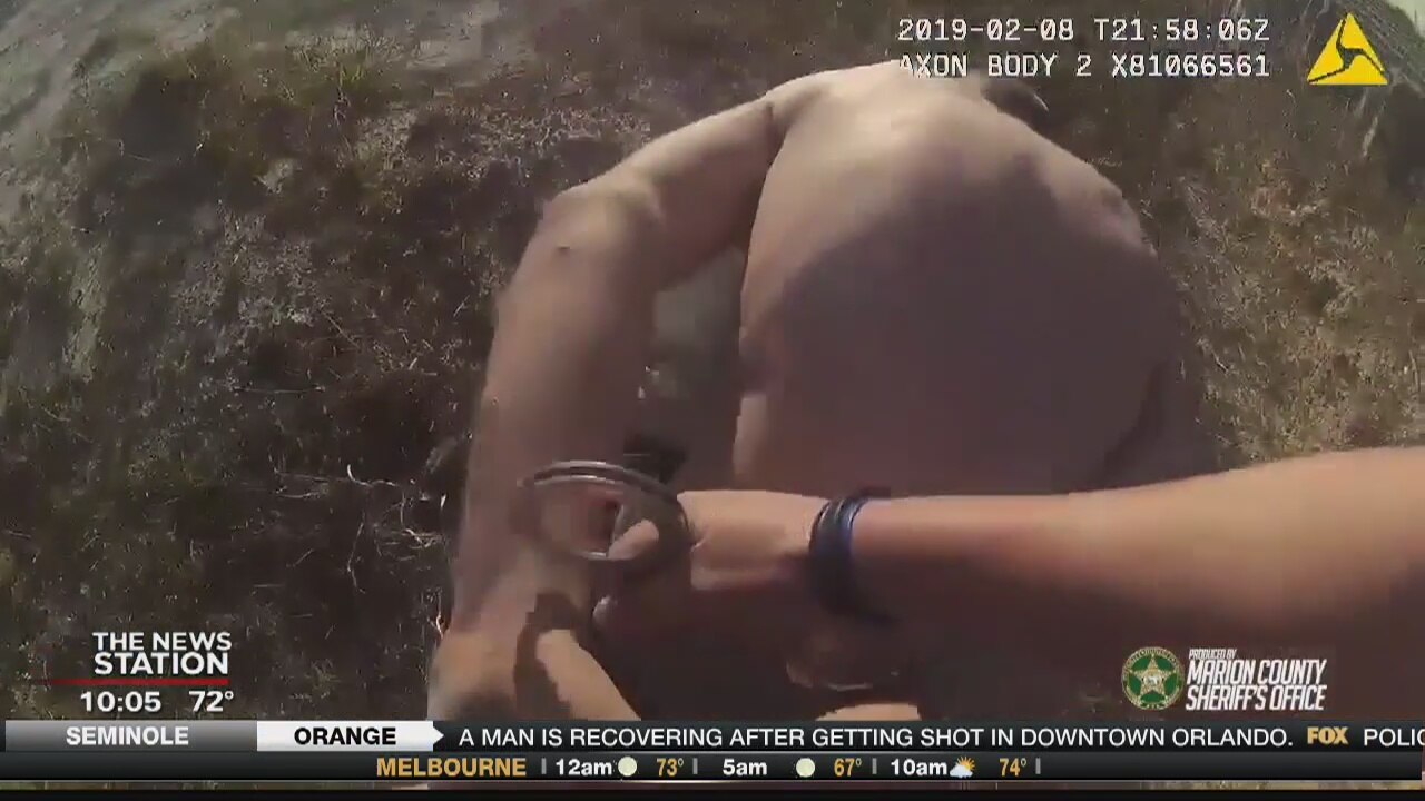 K-9 credited with helping deputies nab suspect