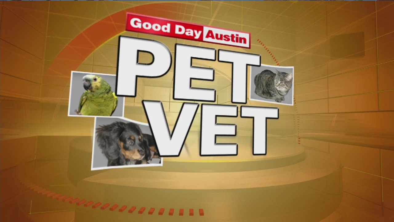 Ask the Pet Vet: January 19