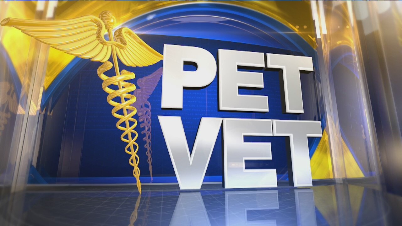 Ask the Pet Vet: March 30