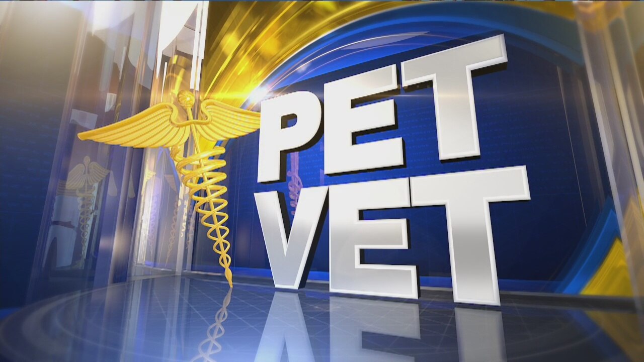 Ask the Pet Vet: May 4