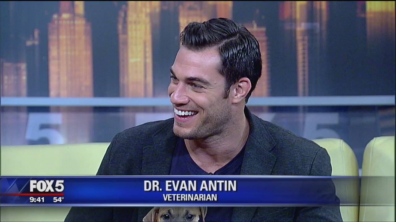Dr. Evan Antin
