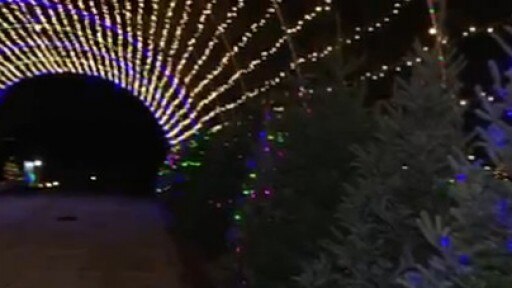 Trail of Lights 2017