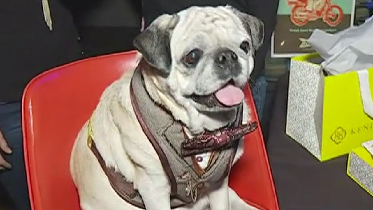 Sweet Barks event to benefit Austin Pets Alive