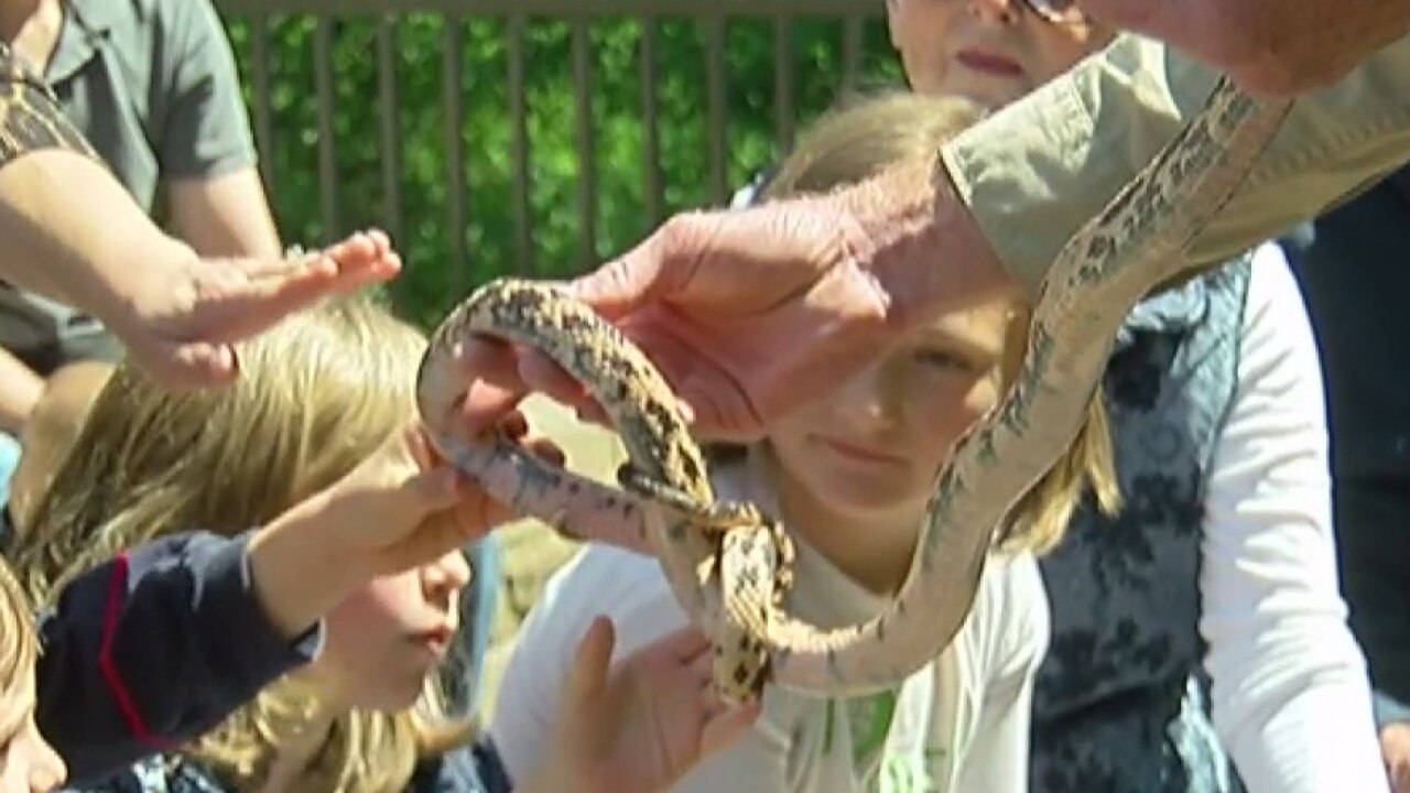 Austin Park Rangers educate public on snakes