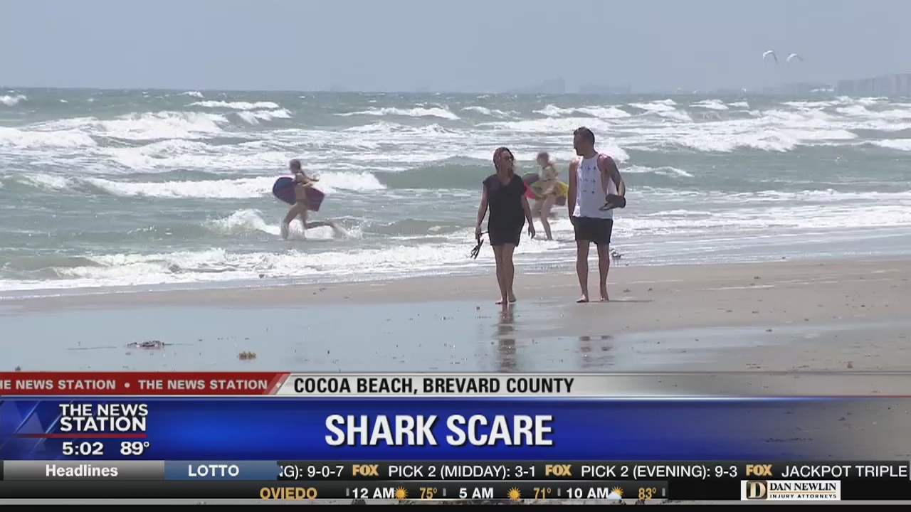 Shark scare at Cocoa Beach