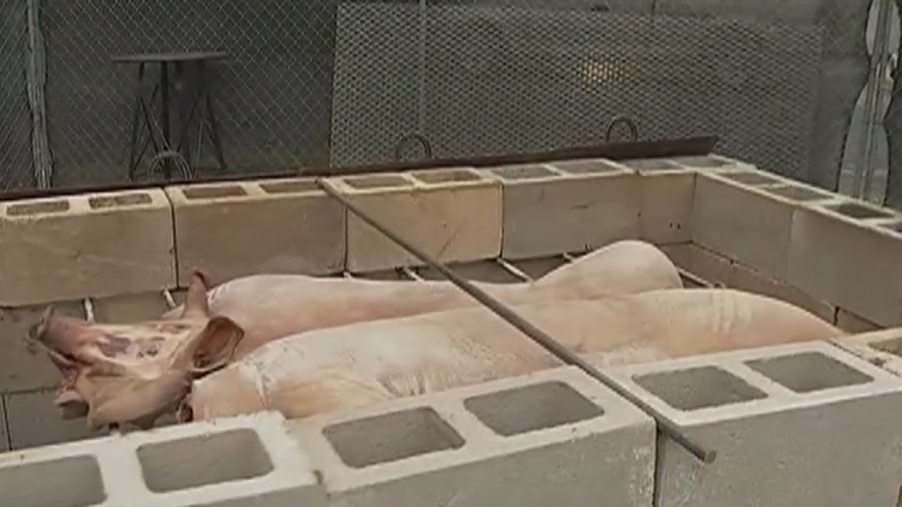 Hot Luck Festival 2018