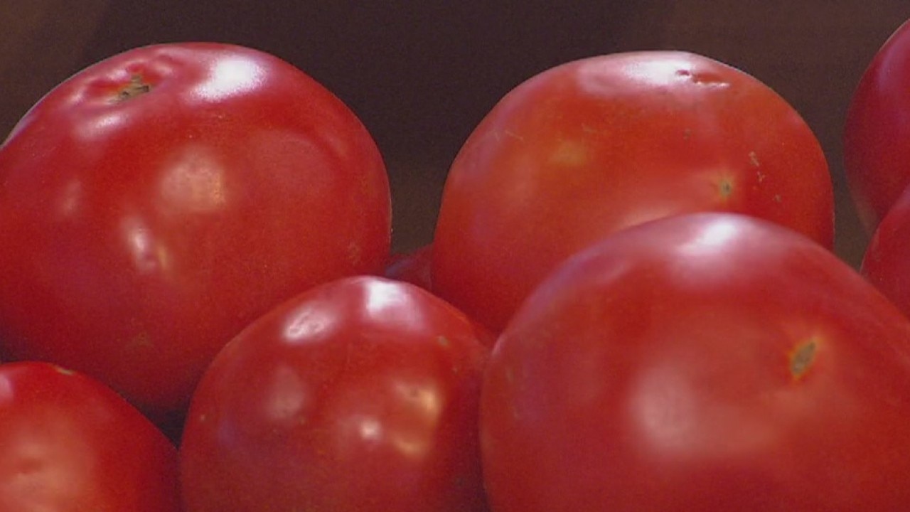 Jacksonville Tomato Fest