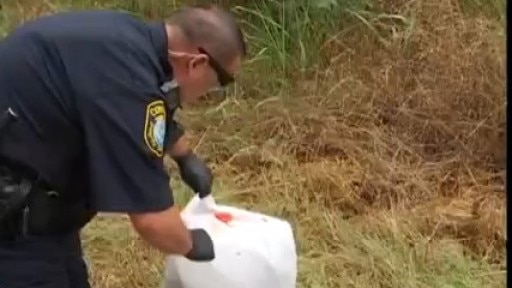 Illegal dumping plaguing Williamson County pct. 4