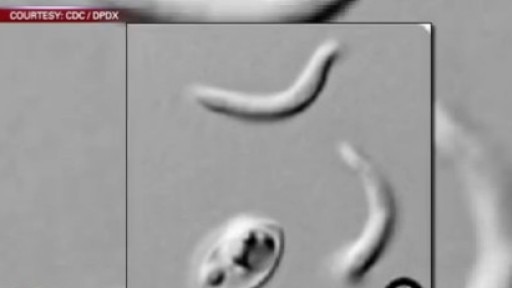 Cause Unknown for Cyclosporiasis Outbreak