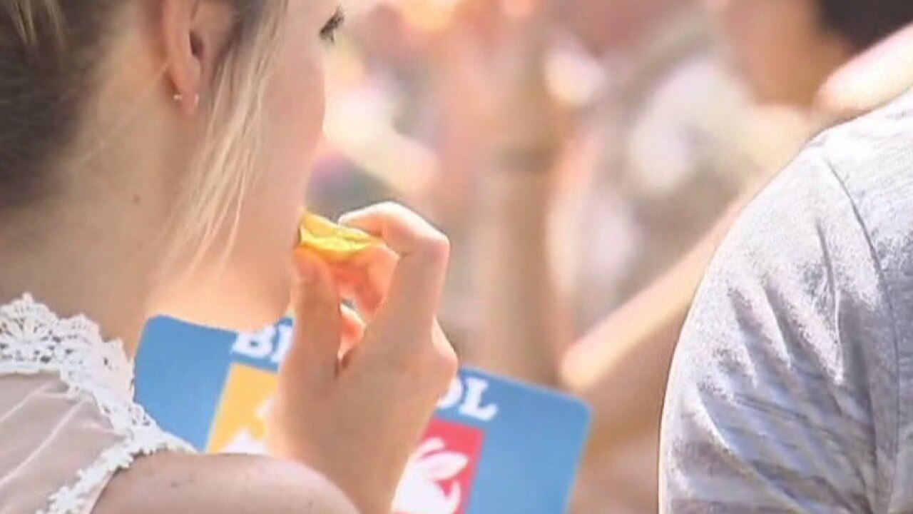 Hot Sauce Festival