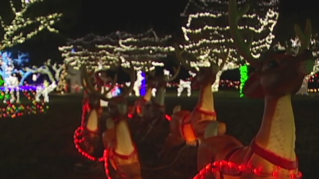 Make-A-Wish lights