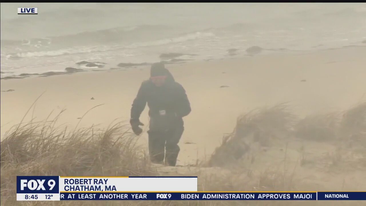 Nor'easter storm expected to pack a punch on East Coast