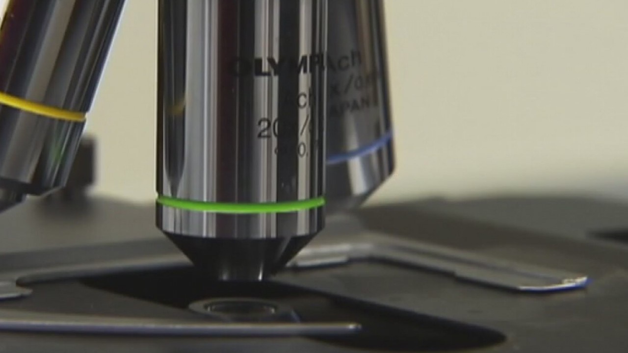 Rape kit DNA findings