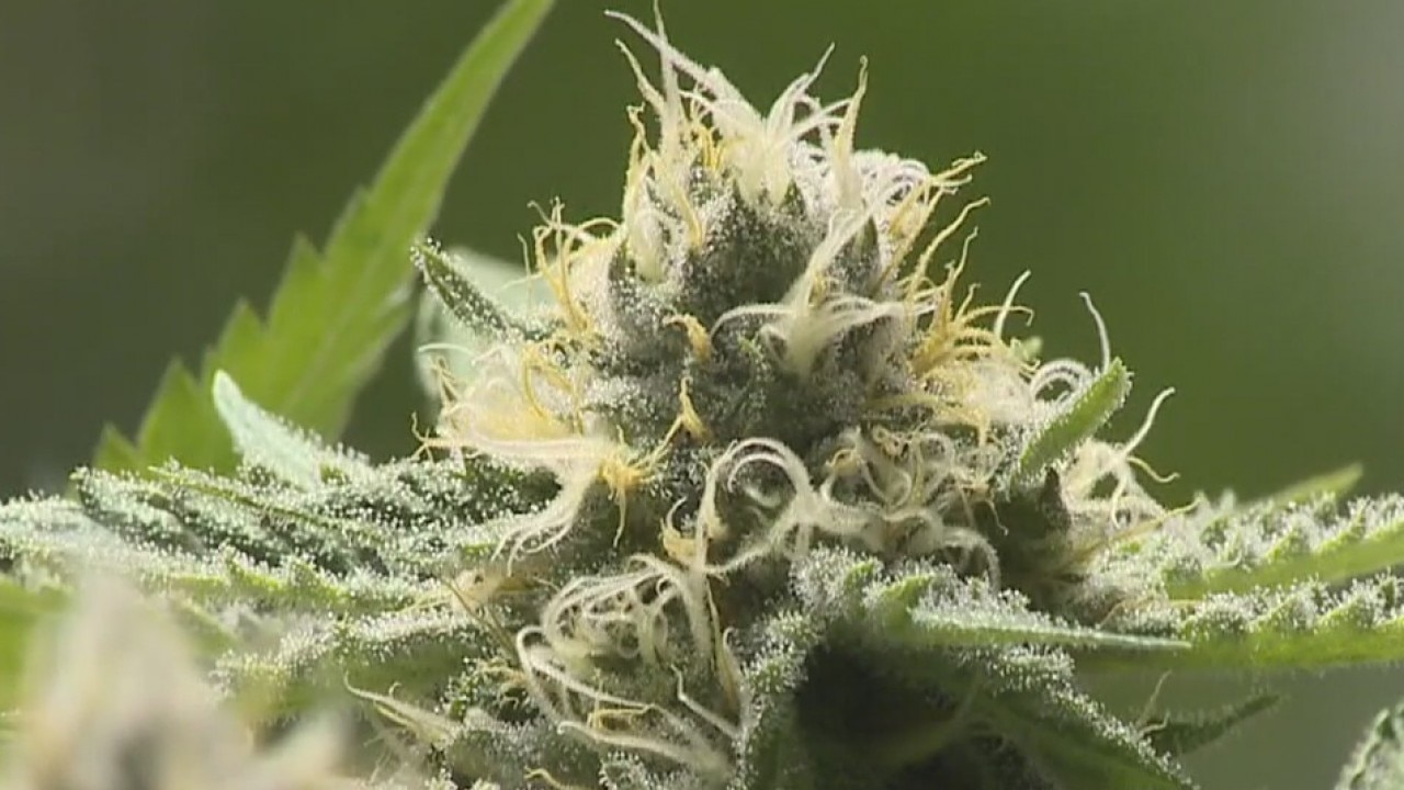 Travis County DA to no longer prosecute cases involving trace amounts of drugs