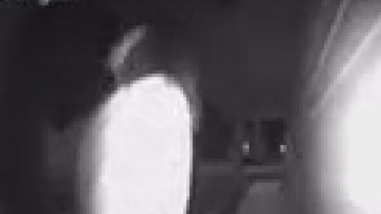 Alleged kidnapping