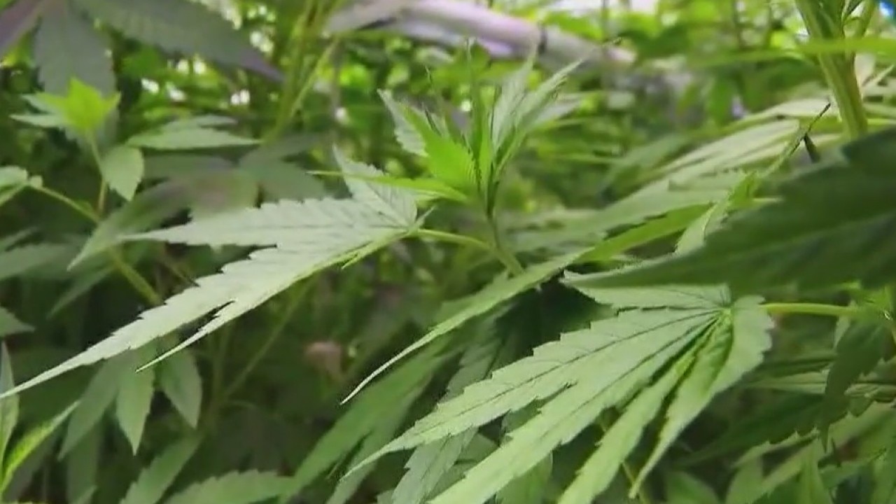 HB 63 faces tough battle in Texas Senate