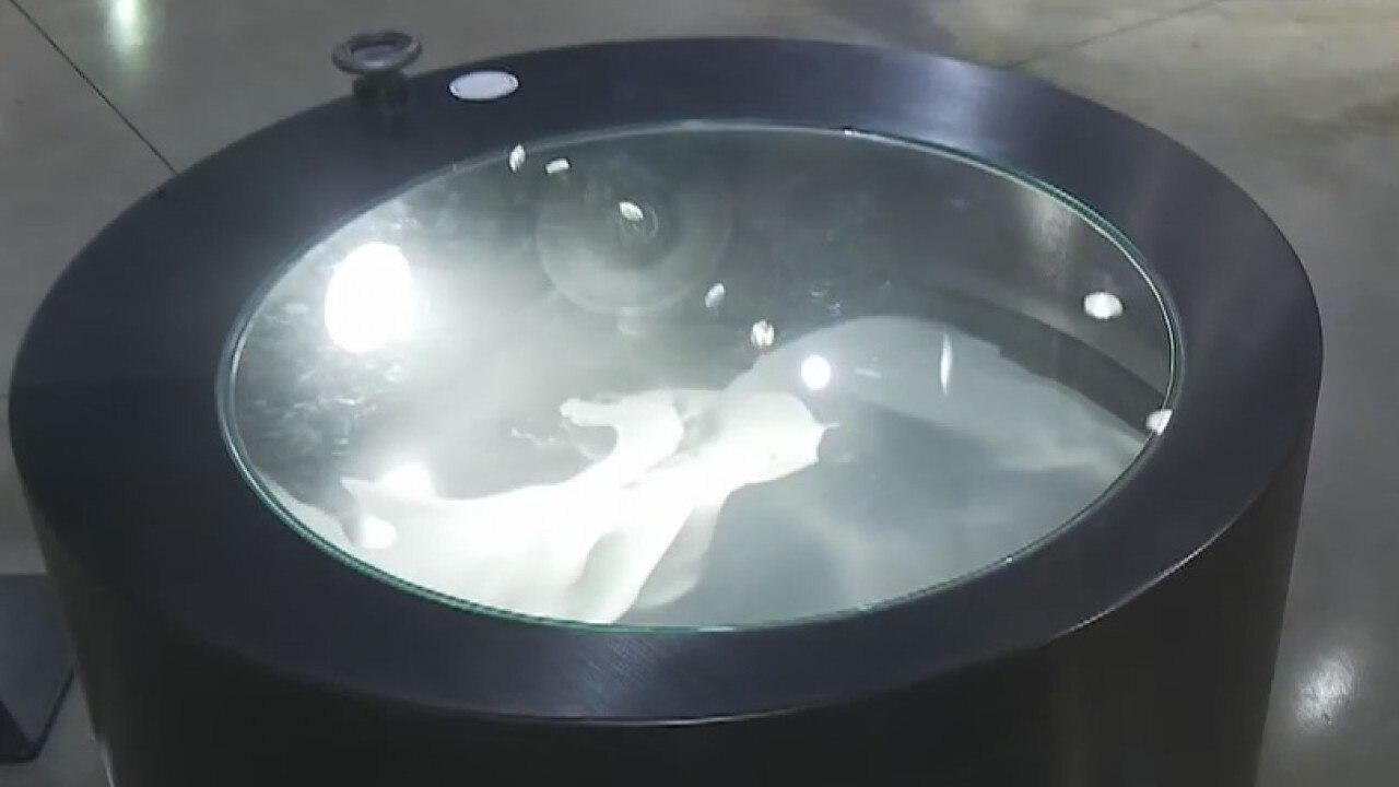 Earth, Wind, Inspire at The Thinkery