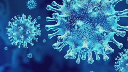 Panel looking at COVID-19's disproportionate impact on racial and ethnic minority groups