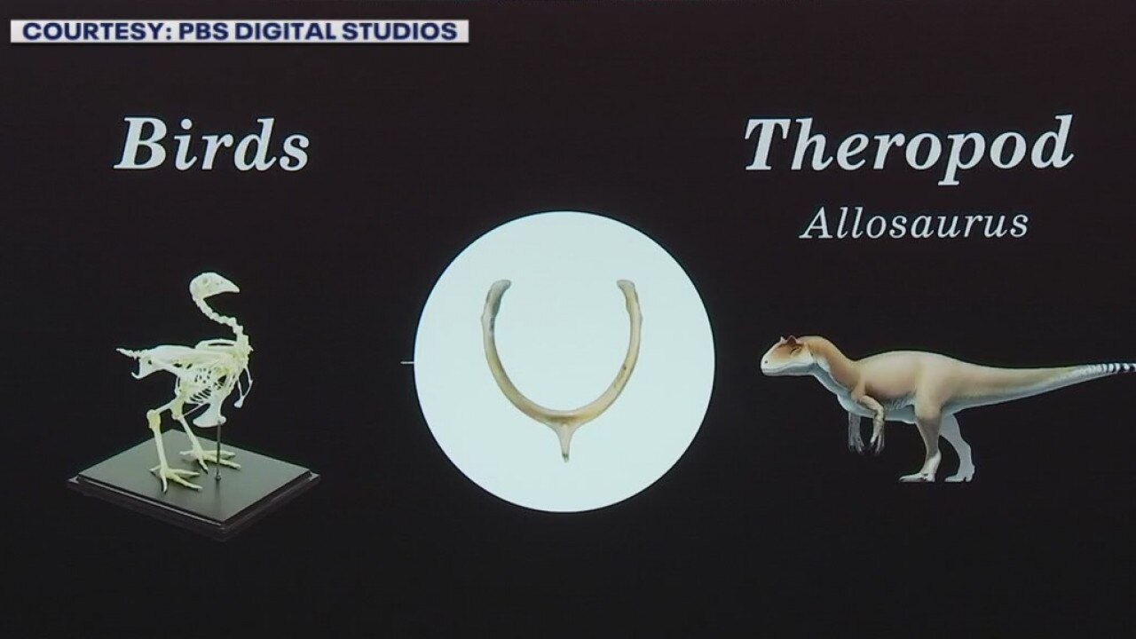 Science behind Thanksgiving traditions