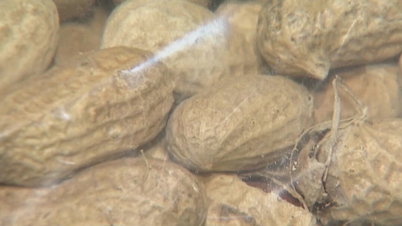 Many first report peanut allergy symptoms in adulthood, study finds