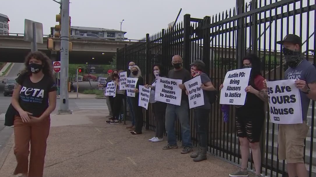 South Austin woman caught on camera hitting dog no longer employed at vet clinic