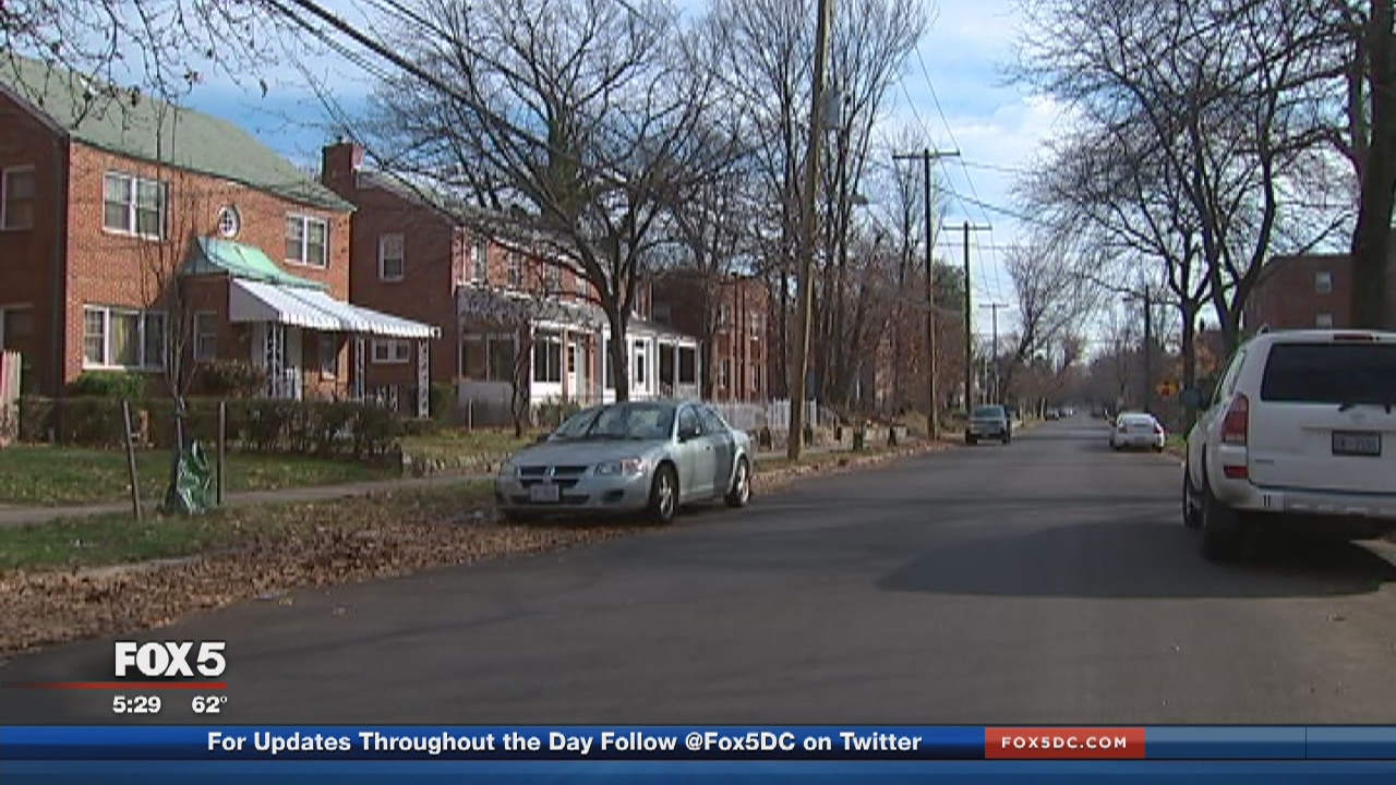 Cat found dangling from DC phone line