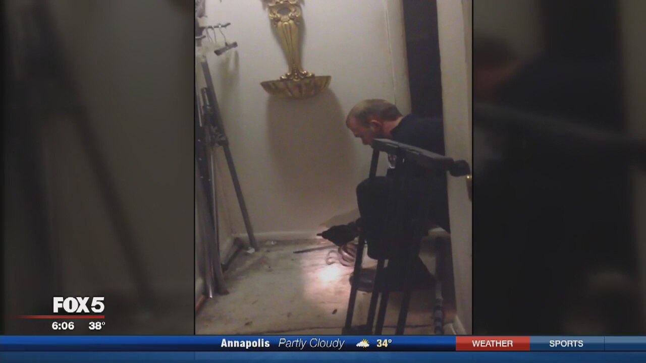 Officer removes snake from Prince George's Co. home