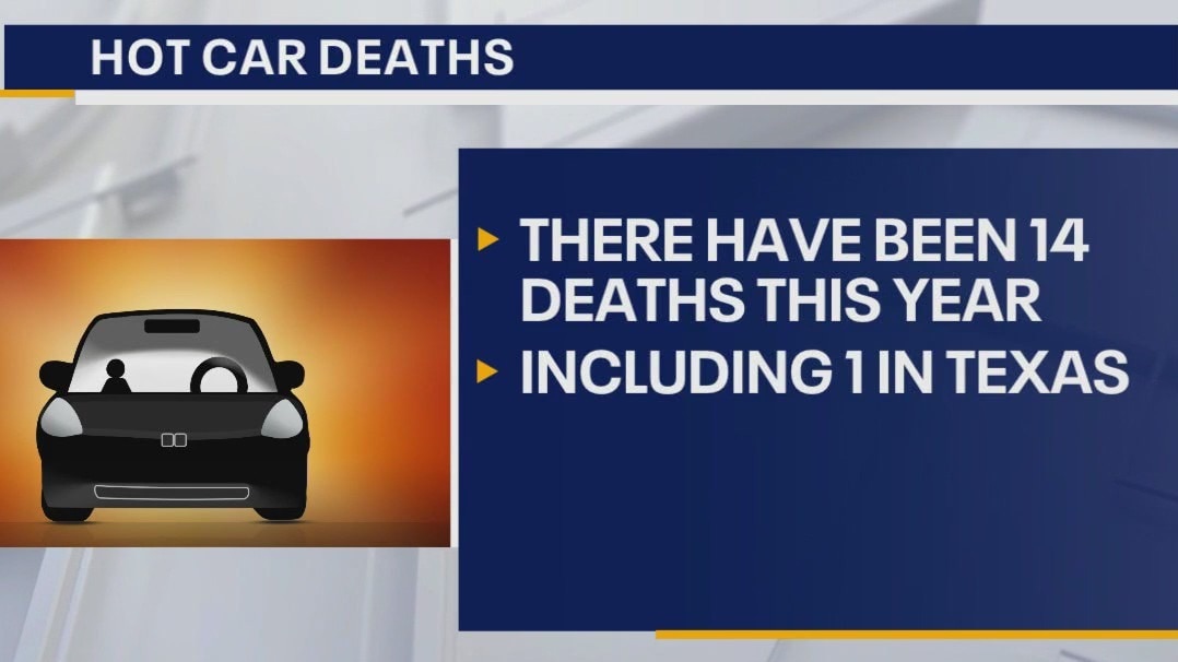 Hot car deaths: Safe Kids