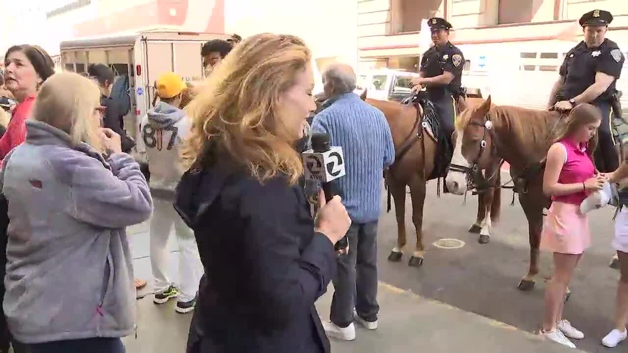 Horse Retirement