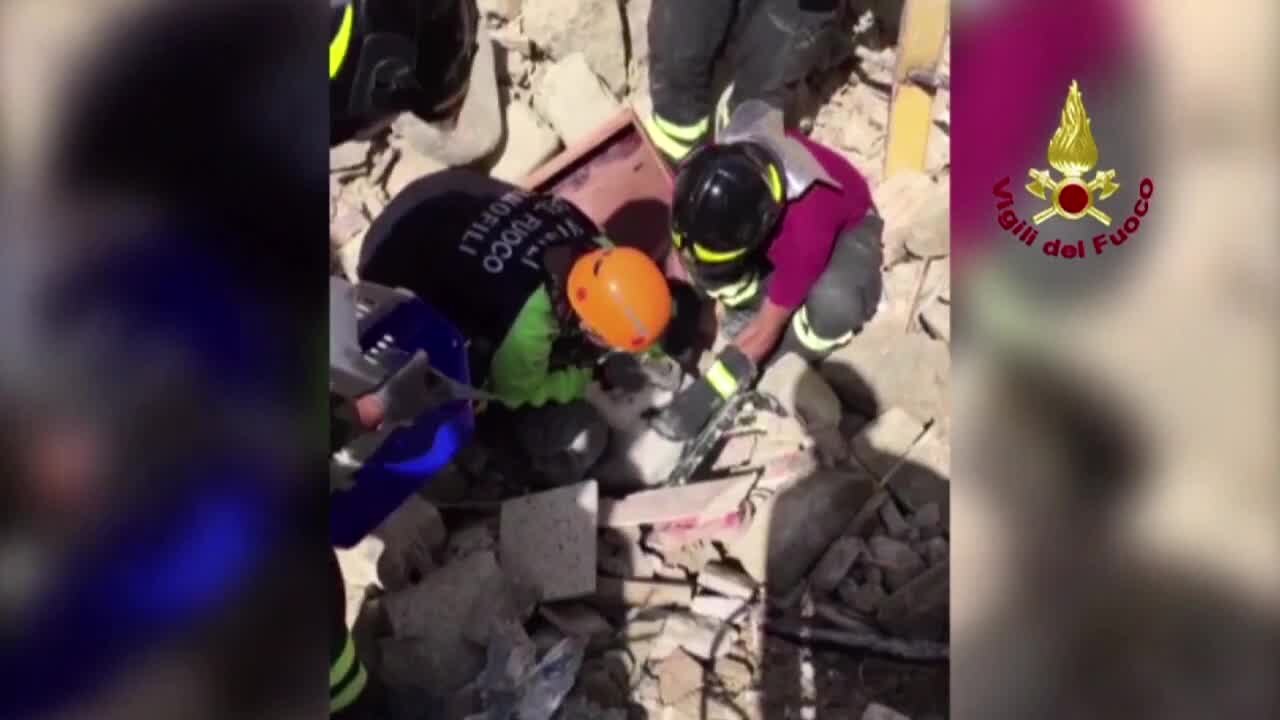 Cat pulled from rubble in Italy