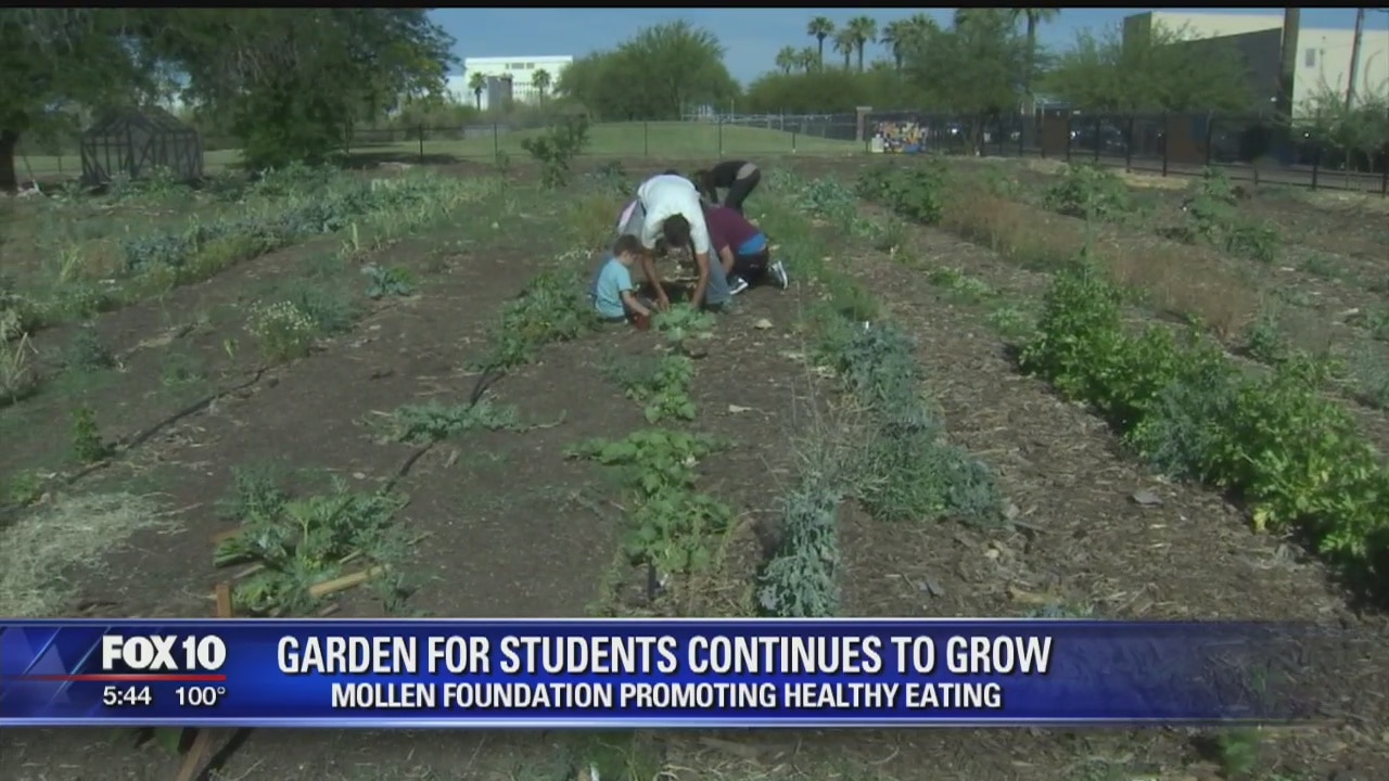 Students learn about healthy eating, sustainability