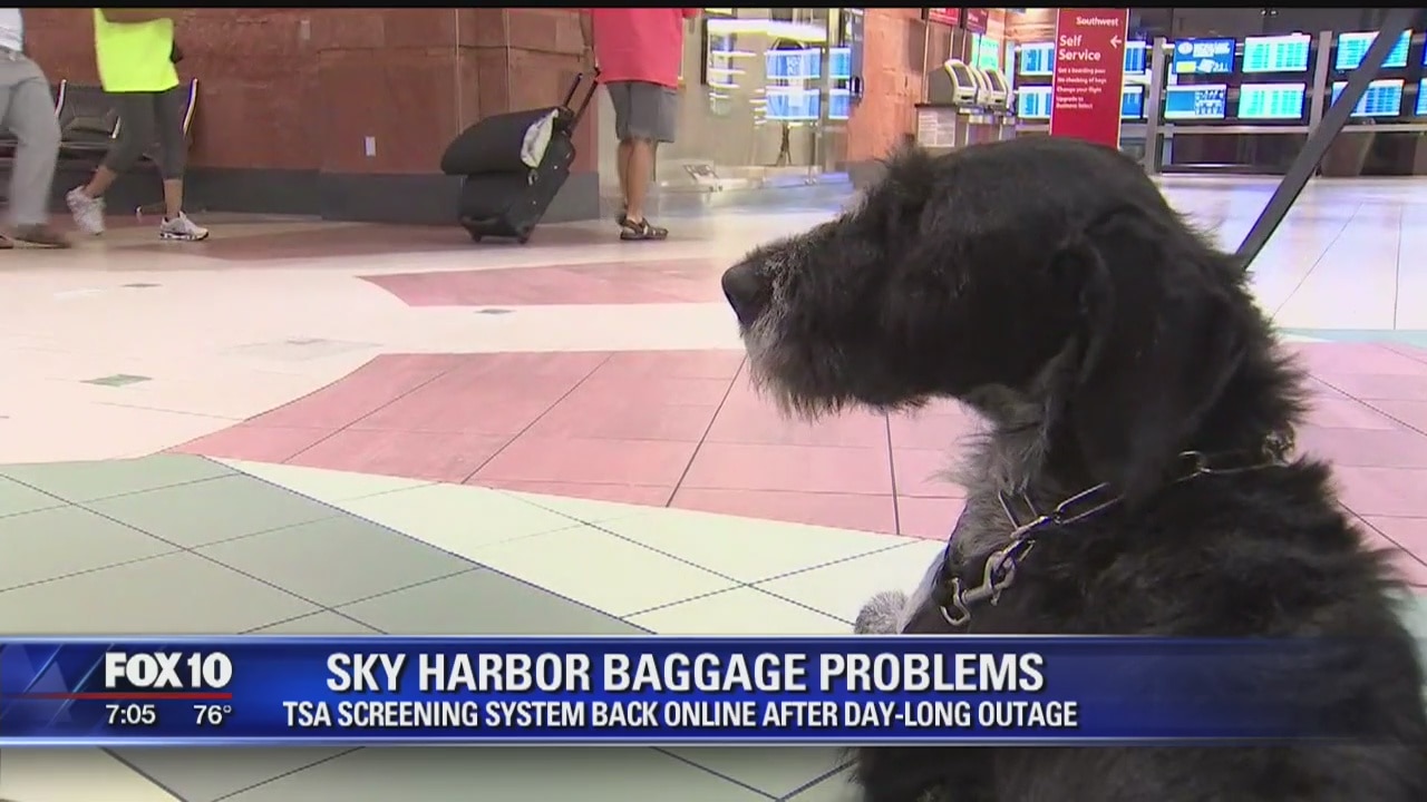 K-9's work overtime during TSA malfunction at Sky Harbor