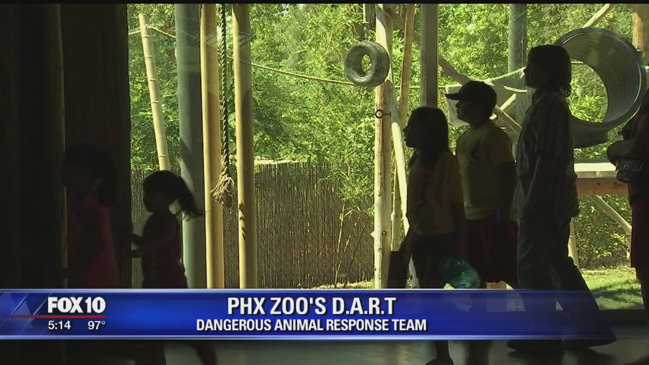 Phoenix Zoo has DART team for emergencies