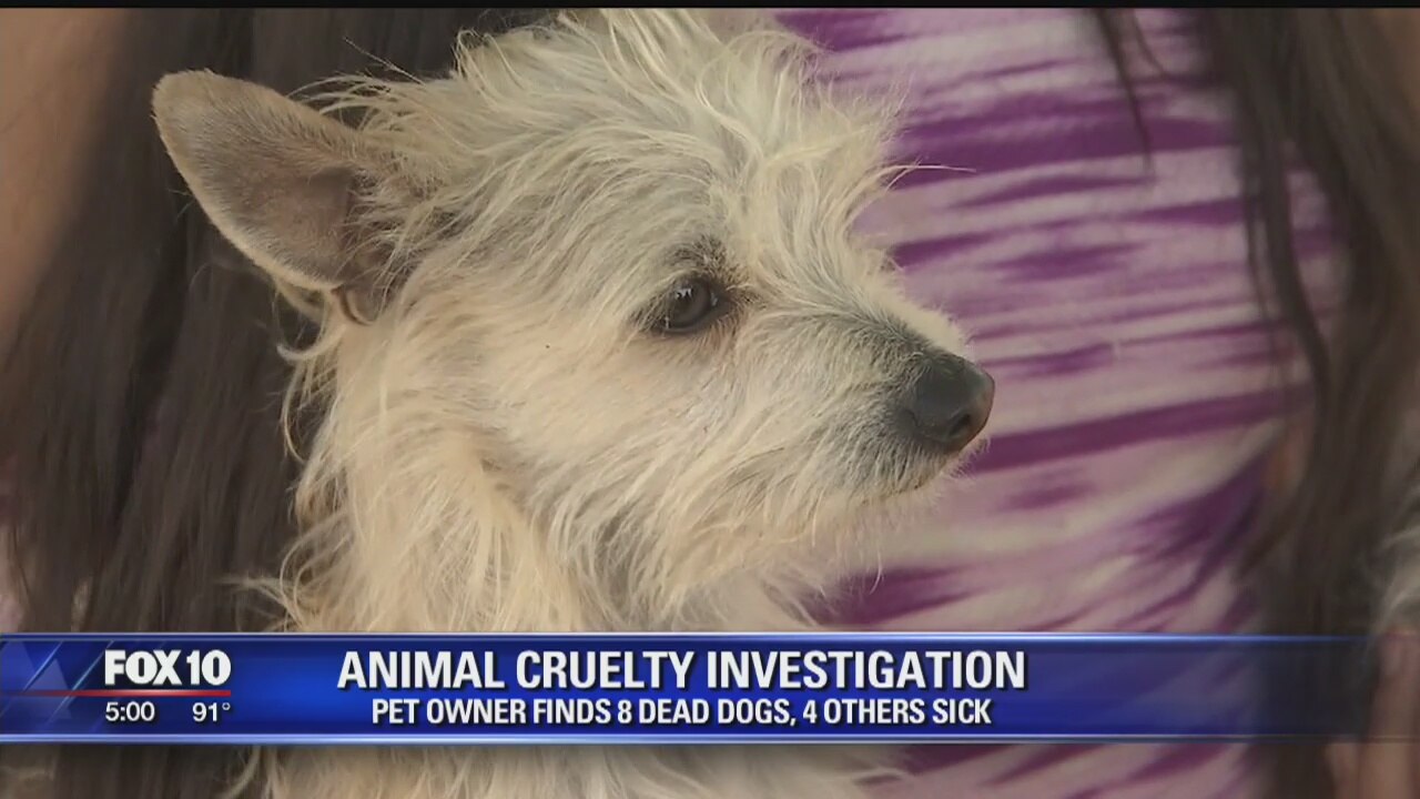 Officers investigate suspected animal cruelty case