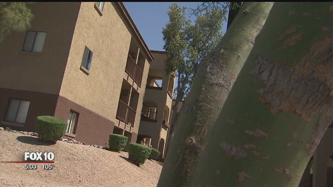 911 calls for help released in dog patio death