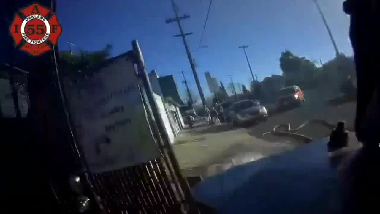 Oakland firefighters give puppies oxygen after fire