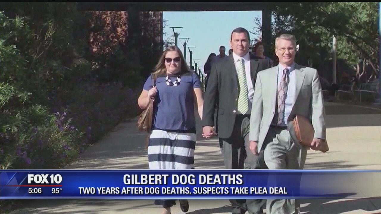Owners of Gilbert kennel enter plea in dog death case