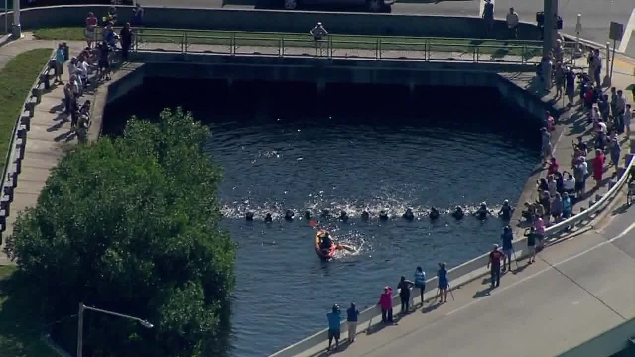 Human chain rescues dolphin pods