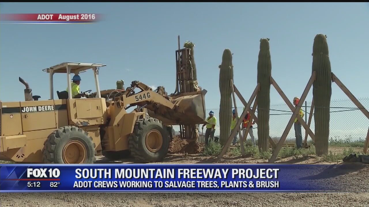 ADOT saving greenery as part of freeway expansion project