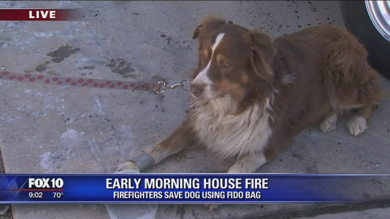Firefighters save dog from Valley house fire