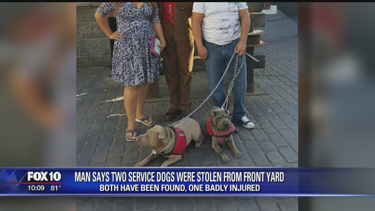 Man claims his service dogs were stolen from front yard