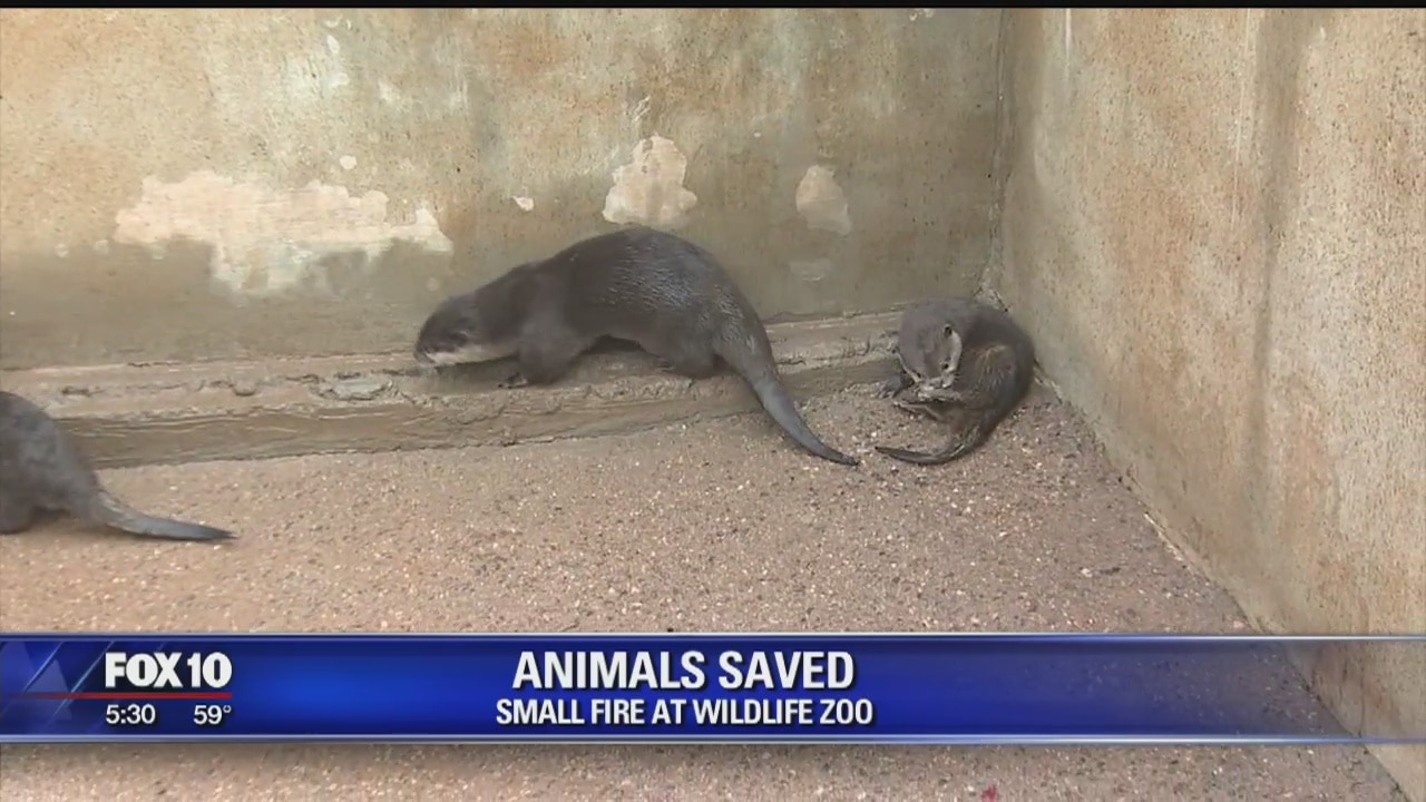 No animals injured during electrical fire at Wildlife World Zoo