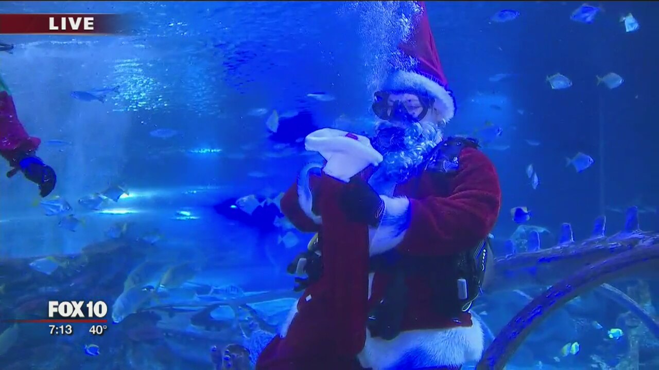 Santa Swims With Sharks In The Desert!