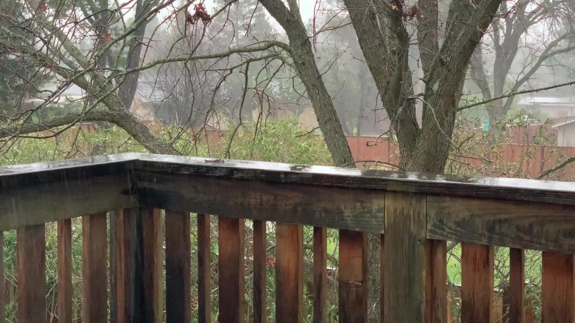 Rain soaks Lafayette